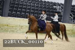 22BUCK_00110 proof