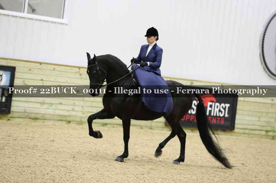Proof 22BUCK_00111