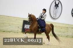22BUCK_00113 proof