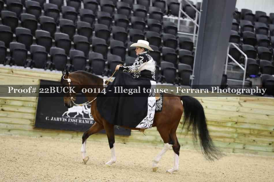 Proof 22BUCK_00114