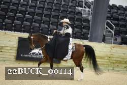 22BUCK_00114 proof