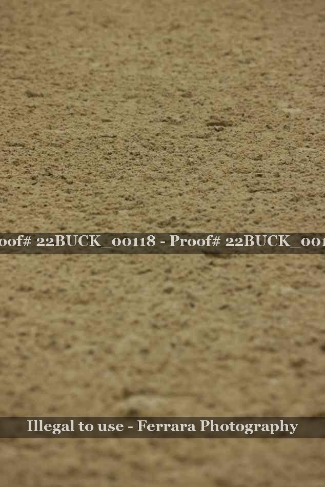 Proof 22BUCK_00118