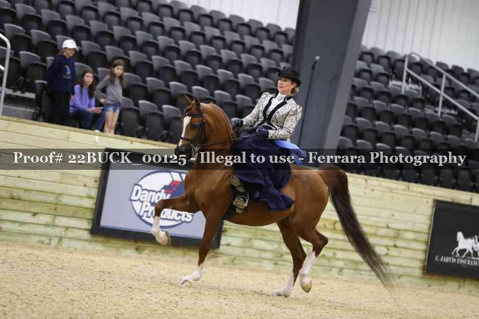 Proof 22BUCK_00125