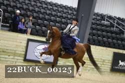 22BUCK_00125 proof