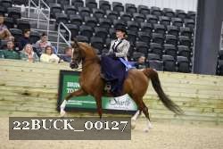 22BUCK_00127 proof