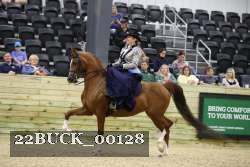 22BUCK_00128 proof