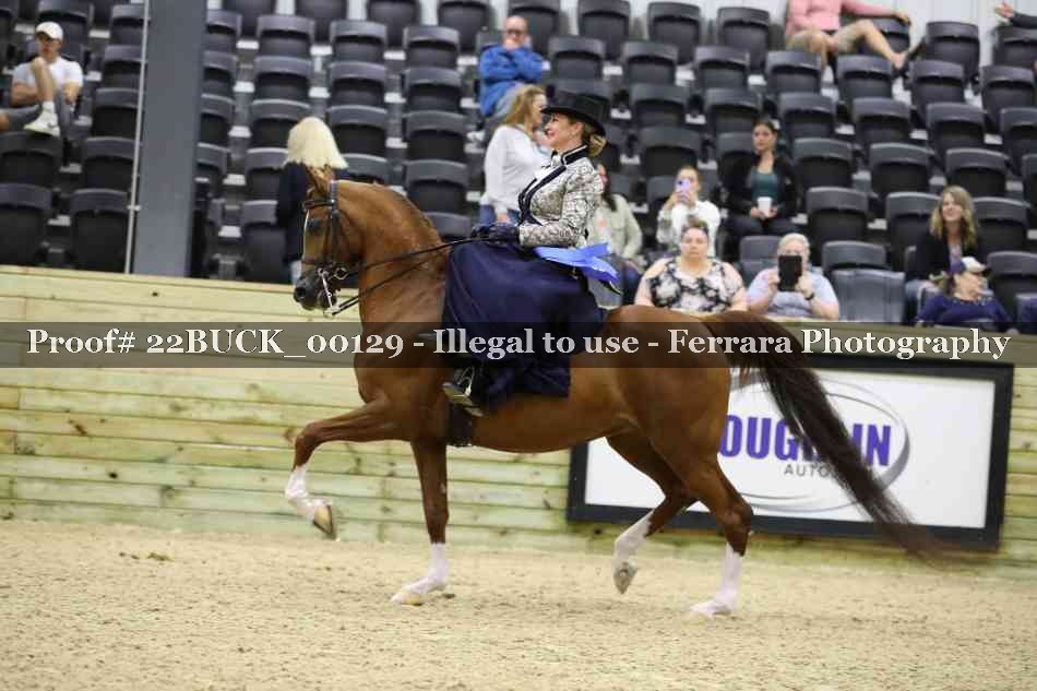 Proof 22BUCK_00129