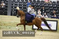 22BUCK_00129 proof