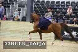 22BUCK_00130 proof