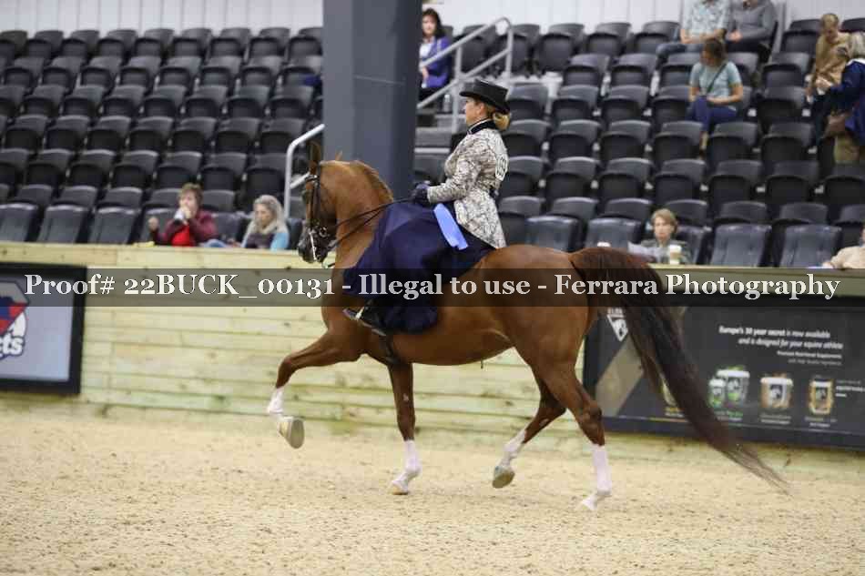 Proof 22BUCK_00131