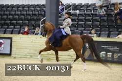 22BUCK_00131 proof