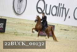 22BUCK_00132 proof