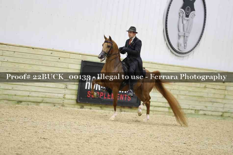 Proof 22BUCK_00133
