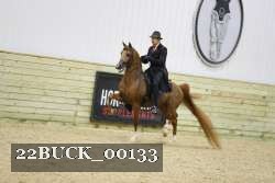 22BUCK_00133 proof