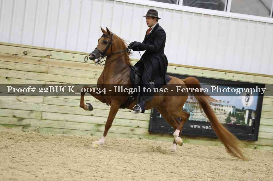 Proof 22BUCK_00134