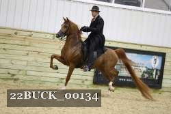 22BUCK_00134 proof