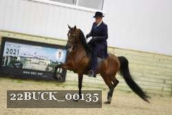 22BUCK_00135 proof