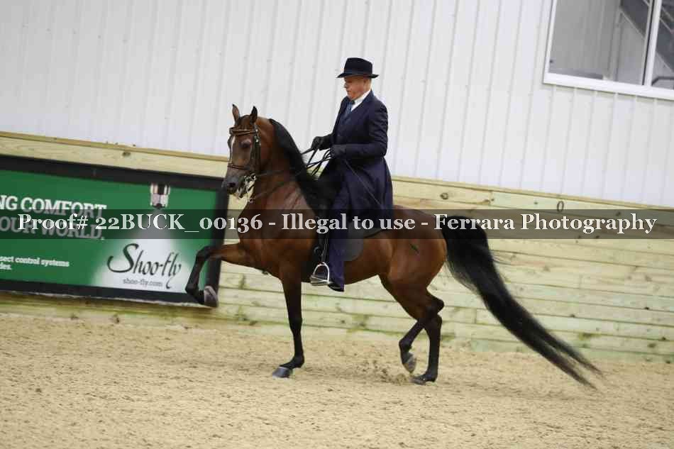 Proof 22BUCK_00136