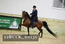 22BUCK_00136 proof