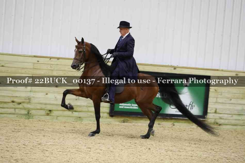 Proof 22BUCK_00137