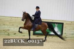 22BUCK_00137 proof