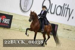 22BUCK_00138 proof