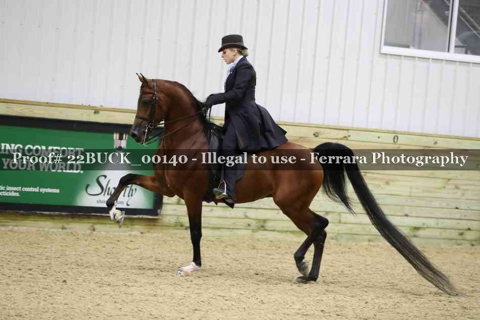Proof 22BUCK_00140