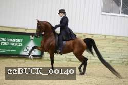 22BUCK_00140 proof