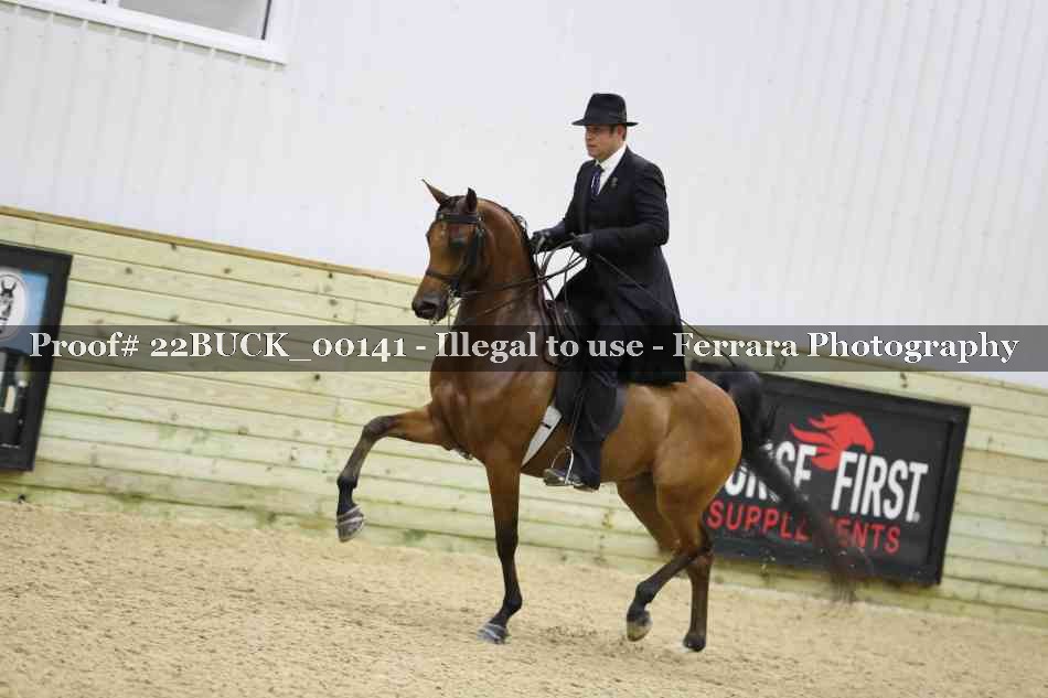 Proof 22BUCK_00141