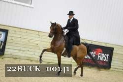 22BUCK_00141 proof