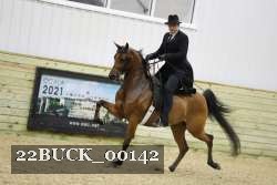 22BUCK_00142 proof