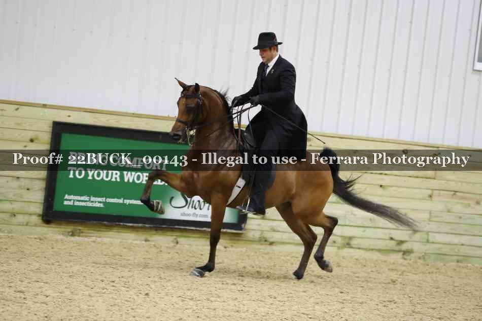 Proof 22BUCK_00143