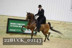 22BUCK_00143 proof