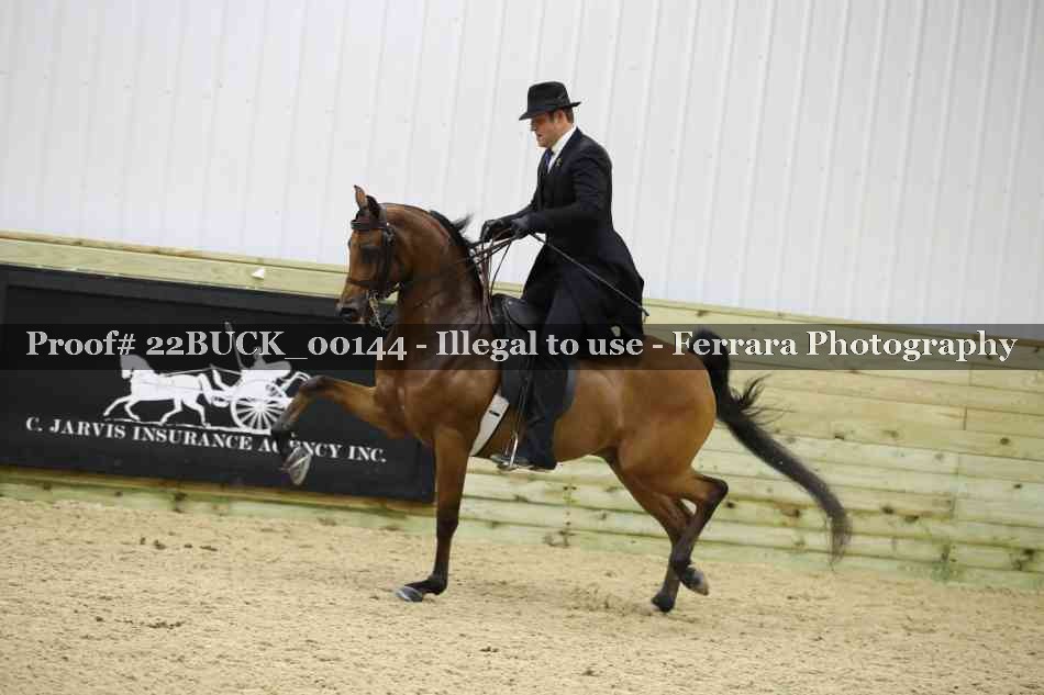 Proof 22BUCK_00144