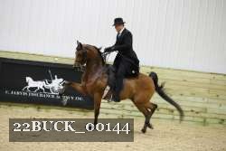 22BUCK_00144 proof