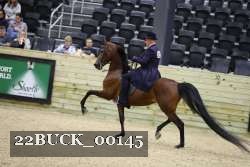 22BUCK_00145 proof