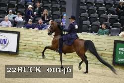 22BUCK_00146 proof