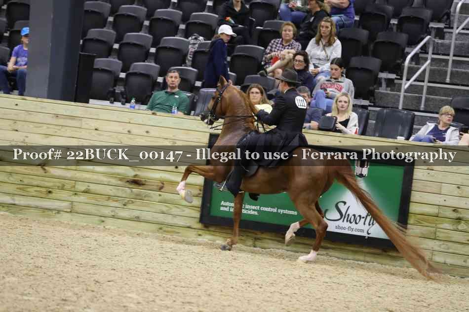 Proof 22BUCK_00147