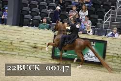 22BUCK_00147 proof