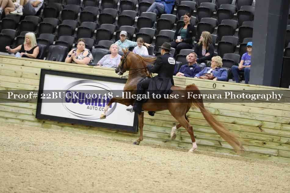 Proof 22BUCK_00148