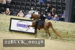 22BUCK_00148 proof