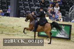 22BUCK_00149 proof
