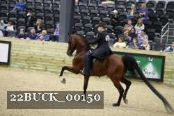 22BUCK_00150 proof