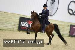 22BUCK_00151 proof