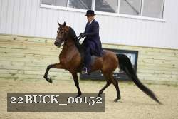 22BUCK_00152 proof