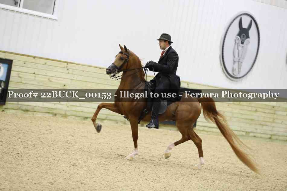 Proof 22BUCK_00153