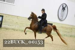 22BUCK_00153 proof