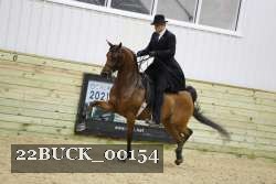 22BUCK_00154 proof