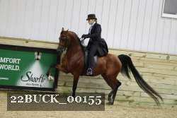 22BUCK_00155 proof