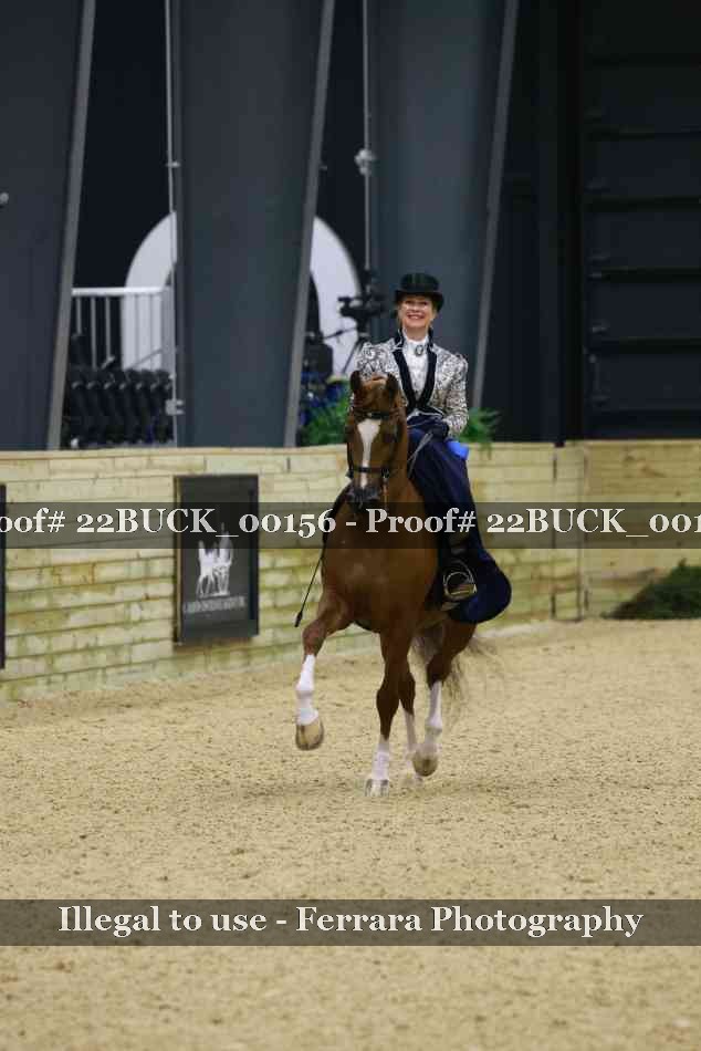 Proof 22BUCK_00156